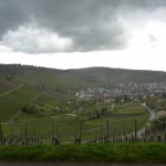 View into Stuttgart from stormy grape fields