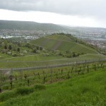 View into Stuttgart from grape fields