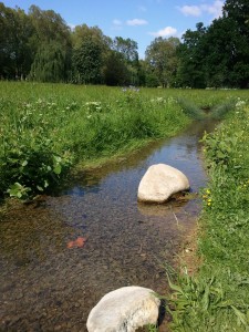 Wild Park Streams