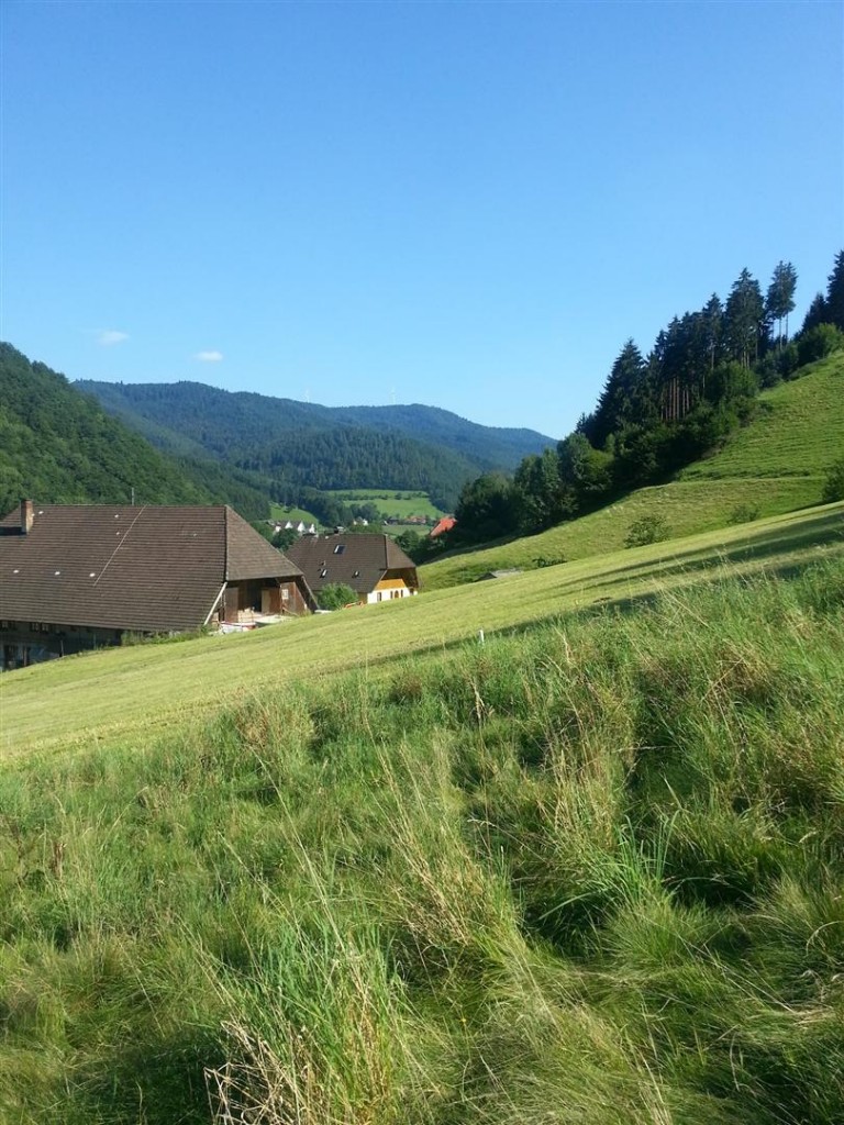 Rodelbahn Gutach View