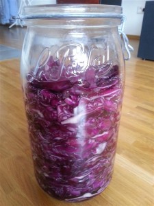 Sauerkraut Batch 4: Purple